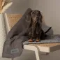 Preview: Hundedecke Cosy, weich, leicht & wendbar
