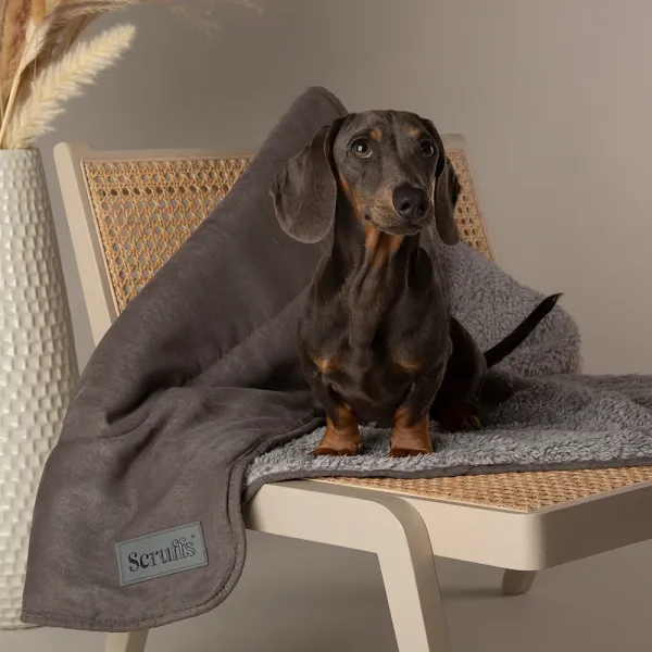 Preview: Hundedecke Cosy, weich, leicht & wendbar