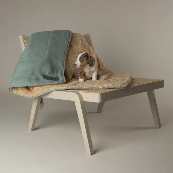 Preview: Hundedecke Cosy, weich, leicht & wendbar