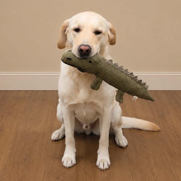 Preview: Duke Alligator