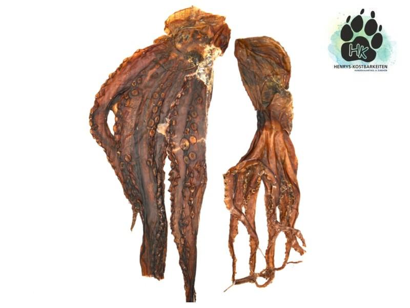 Oktopus für Hunde